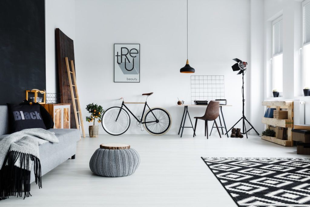 Spacious Studio Apartment