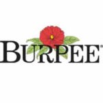 Burpee.Com