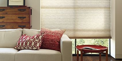 Duette ® Honeycomb Shades 1
