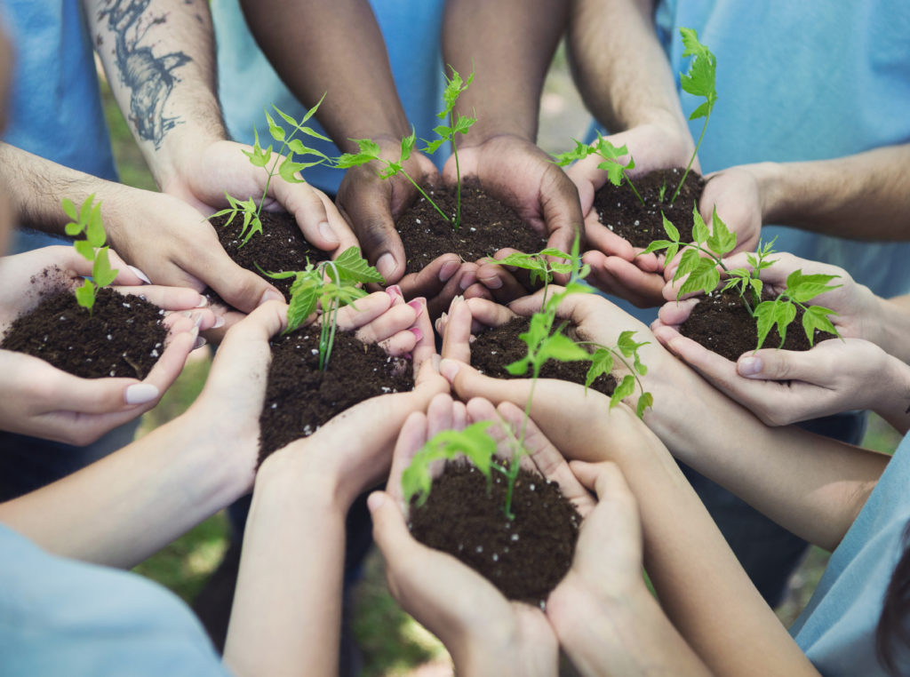 Giving Back Group Of Volunteer With Sprout For Growing