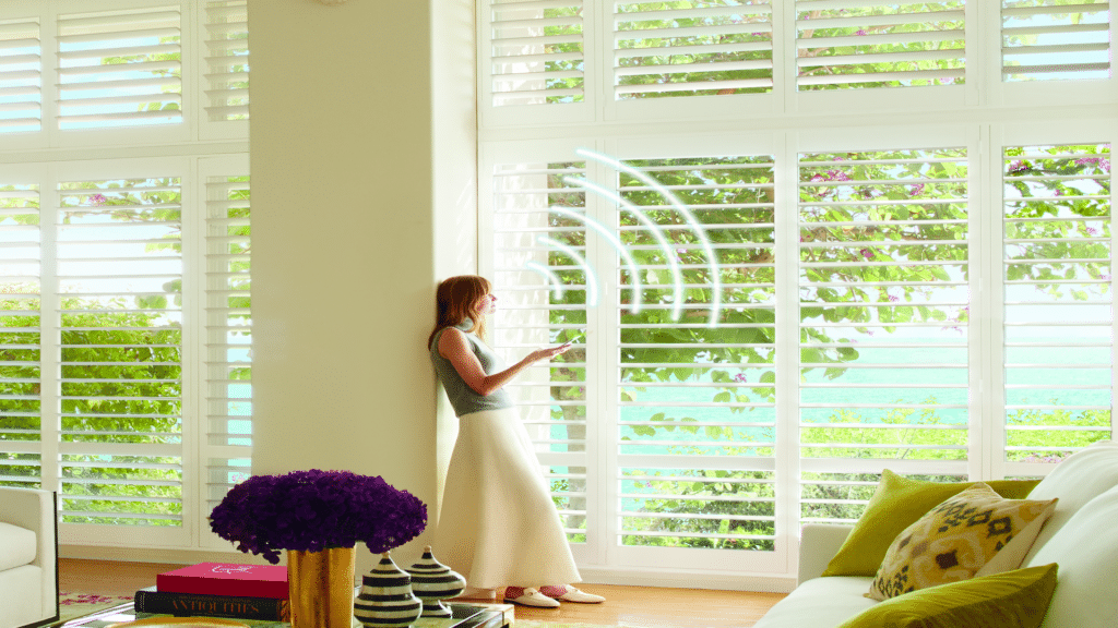 Motorization Motorization