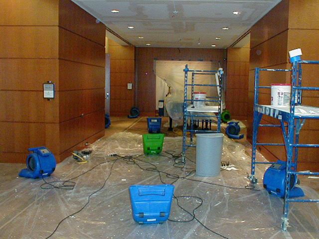 Sewage Backup Repair And Restoration Sewage Backup Repair And Restoration