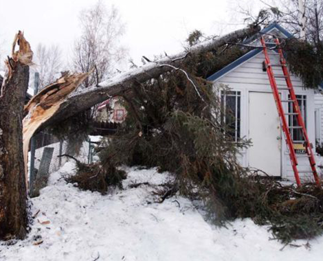 Winter Storm Damage Cleanup And Restoration Winter Storm Damage Cleanup And Restoration
